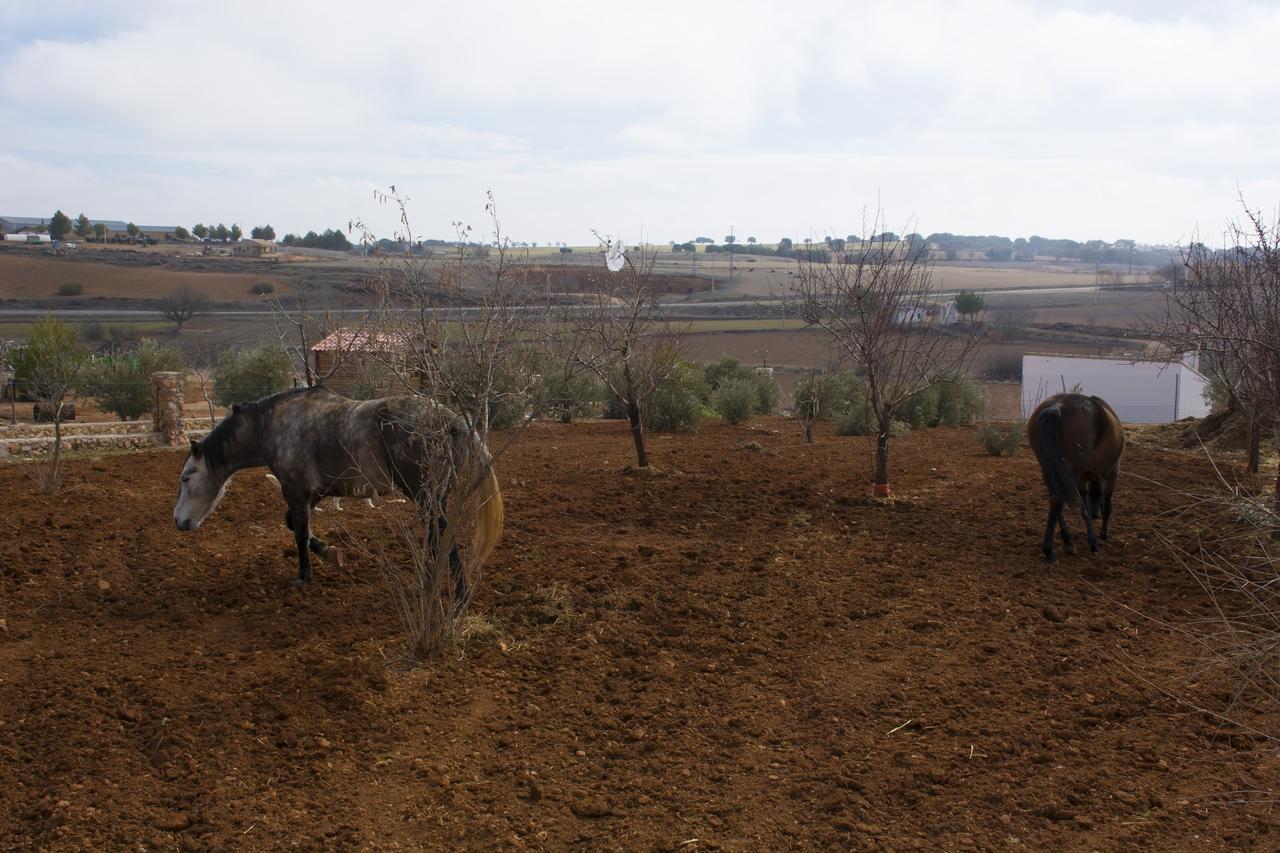 El Retiro De Cervantes Ossa de Montiel Bagian luar foto