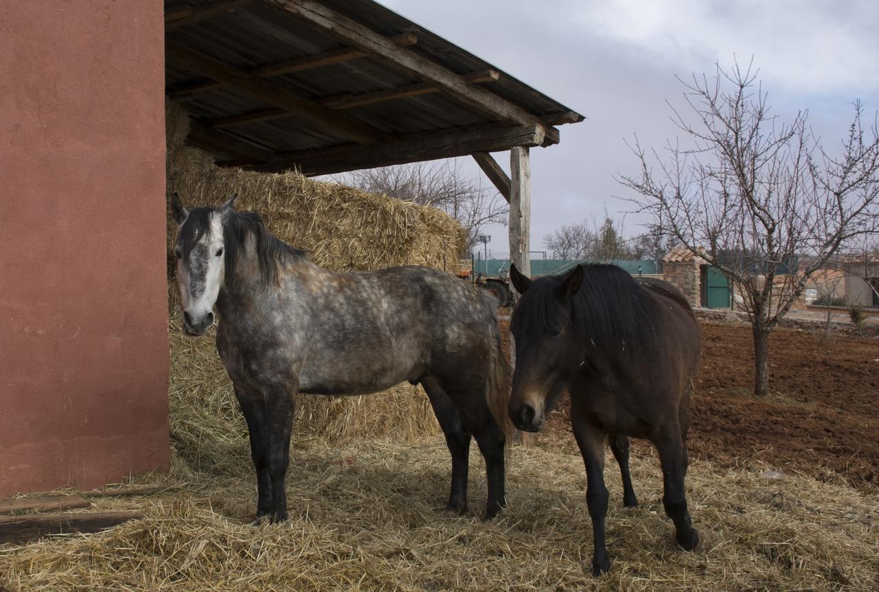 El Retiro De Cervantes Ossa de Montiel Bagian luar foto